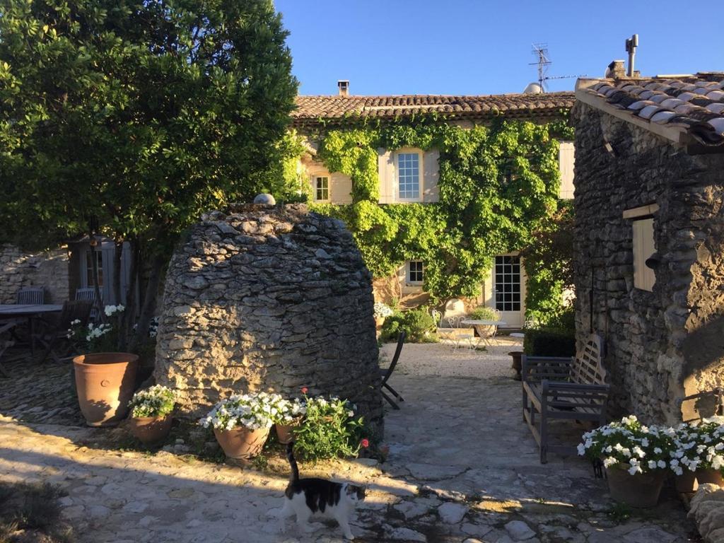 Le Mas Du Lavoir Gordes Exterior foto